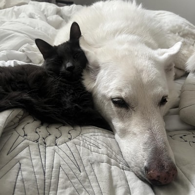 Taylor Weigel's avatar